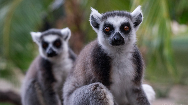 Check for View Finders Season 4 airing on a public television station near you!